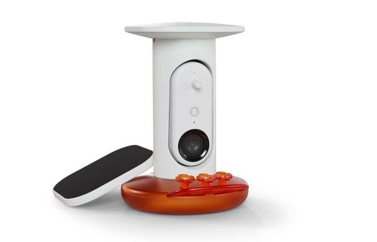 Smart Hummingbird Feeder Pro Solar