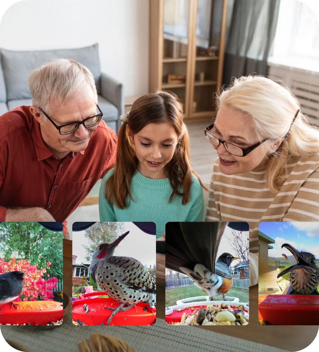 Family watching the Birdbuddy app