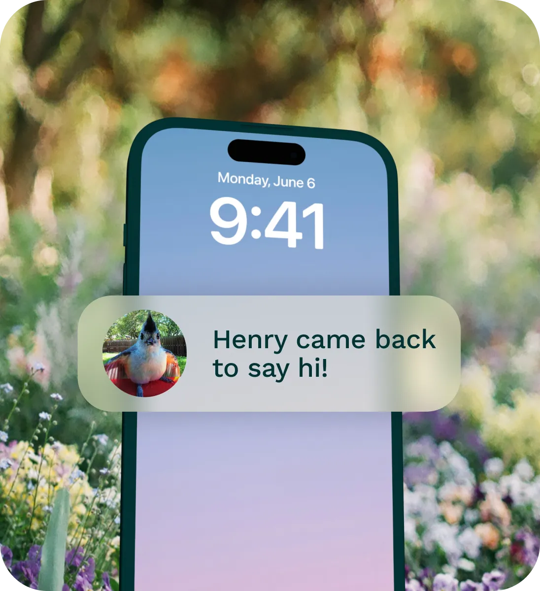 Nature Chat notification on a phone