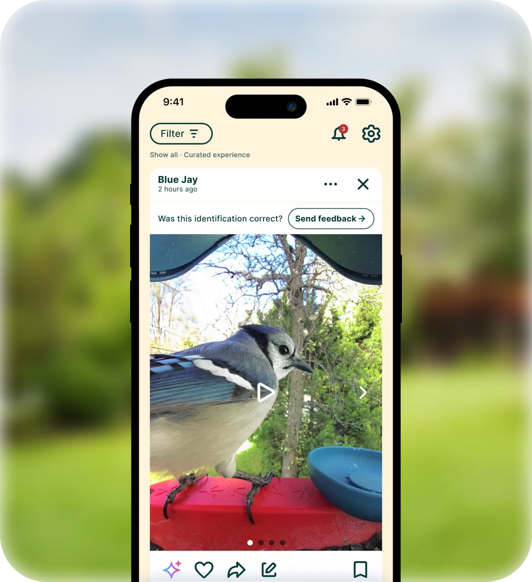 Birdbuddy app postcard on a phone
