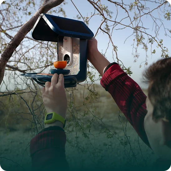 Hands hanging a Bird Buddy feeder
