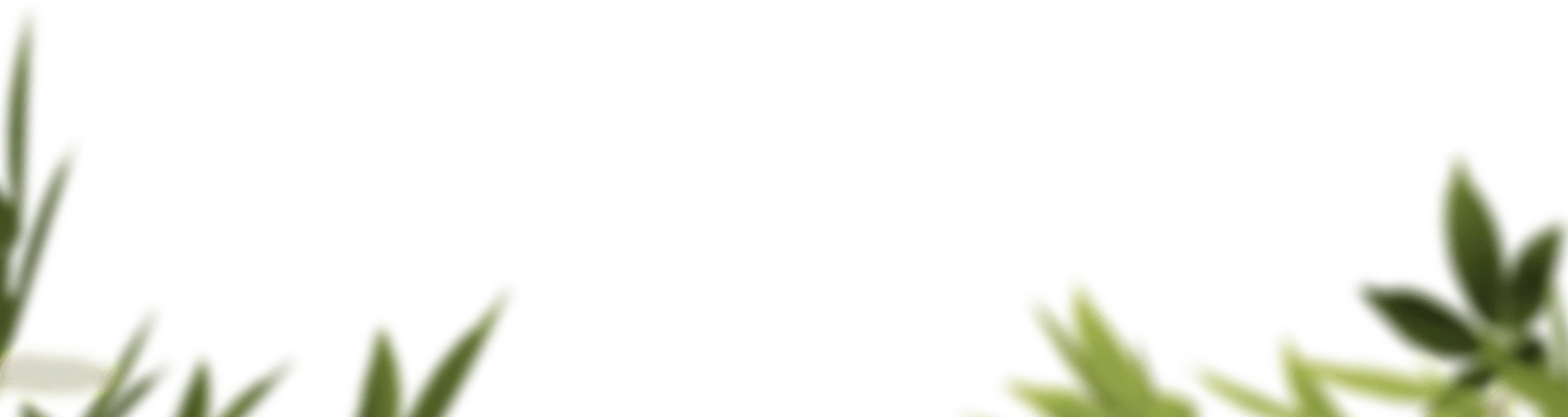 ProductPagesHero-bottom-plants
